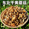 东北干滑子菇黄蘑菇(黄蘑菇，)干货菌菇无根肉，厚非野生小鸡炖蘑菇口感嫩滑