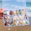 天然真贝壳珊瑚海螺搭配盒装套装鱼缸造景寄居蟹手工diy材料儿童