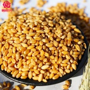 5斤农家自产小麦粒磨面做麦酱发麦苗小麦草种子带皮麦子种籽