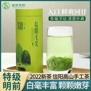 信阳毛尖特级礼盒装2023新茶特级正宗明前炒青茶芽叶河南特产绿茶