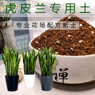 虎皮兰专用土花卉通用型营养土家庭兰科培植土壤弱酸性利生根