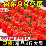 丹东99草莓3斤新鲜水果孕妇红颜奶油牛奶草莓东港九九大草莓礼盒