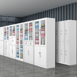 铁皮文件柜办公室会计凭证柜，资料档案柜带锁置物收纳矮柜子储物柜