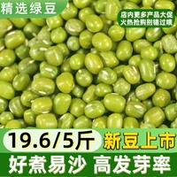 新货绿豆，5斤农家自产发新鲜小绿豆