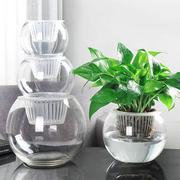 水养加厚花盆植物简约玻璃花卉花瓶客厅欧式装饰插花水生铁艺绿植