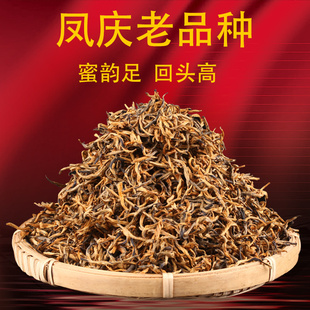 滇红茶蜜香散装金芽金丝云南凤庆浓香型红茶2023特级老树古树