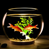 加厚孔雀玻璃鱼缸办公桌面圆形，小型创意斗金鱼缸客厅夜灯迷你摆件