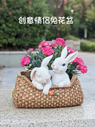 创意情侣兔树脂花盆阳台庭院多肉盆别花园墅可爱动物摆件个性花盆