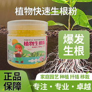 生根粉植物通用型果树移栽扦插树木，壮苗生根剂绿植多肉营养液养花