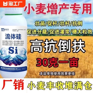 抗倒伏流体硅水稻小麦增产专用套餐防病四季促进分蘖水溶肥叶面肥