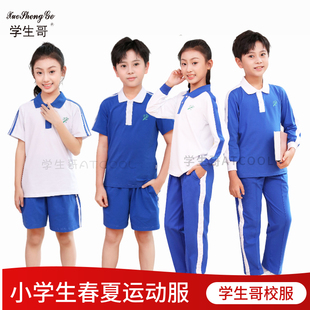 深圳校服小学生速干纯棉衣短袖夏裤秋装外套礼服运动服冰丝针孔