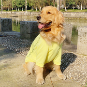 狗狗衣服夏季薄款金毛拉布拉多萨摩耶夏天透气中型大型犬宠物夏装