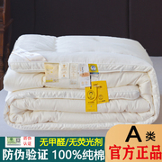 纯棉大豆纤维被子冬被棉被芯加厚保暖春秋季太空调单人子母被全棉