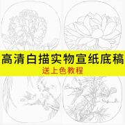 工笔画底稿白描画稿加厚初学者临摹入门描红，套装国画专用宣纸练习卡纸毛笔，作品纸书画装裱熟宣画卷空白画轴