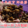 大兴安岭野生榛蘑丁咸蘑菇，榛蘑鲜蘑菇，东北特产500克