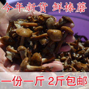 大兴安岭野生榛蘑丁咸蘑菇榛蘑鲜蘑菇东北特产500克