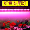 魔红色红鱼灯防水led鱼缸，灯照明红龙，罗汉増红增色鹦鹉鱼专用灯管