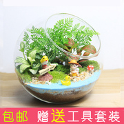 苔藓微景观生态瓶DIY材料包办公室迷你玻璃盆栽趣味植物创意礼物
