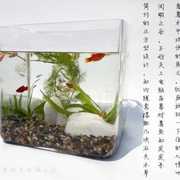 正方形玻璃鱼缸 无粘接办公桌面小鱼缸 简约水草缸超白玻璃乌龟缸