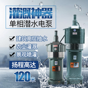 多级潜水泵220v家用抽水泵农用灌溉大流量深井高压潜水泵高扬程(高扬程)