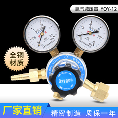 上海宇记全铜氧气减压器YQY-12