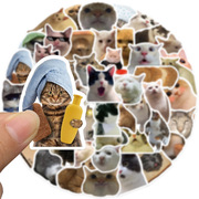 50张动物猫咪外网梗网红表情包涂鸦(包涂鸦)贴行箱笔记本电脑ipad手机贴纸