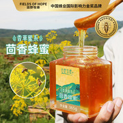 田野牧蜂茴香蜂蜜高原稀有小蜜种珍贵本草蜜源正宗天然成熟蜜2瓶
