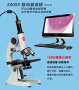 显微镜专业生物高倍便携式科学实验畜牧初中生，学生光学显微镜