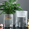 水培植物玻璃瓶透明直筒客厅，花瓶水养绿萝白掌玻璃空器定植篮花器