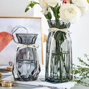 2件套创意玻璃花瓶透明水养富贵竹干鲜花插花瓶客厅装饰摆件