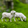 仿真绵羊微景观桌面动物小羊，模型摆件盆景，饰品树脂工艺品装饰摆设