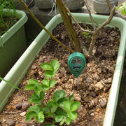 花卉园艺水分检测仪，种花土壤水份仪单针土壤，湿度计泥土测湿