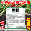 硼肥蔬菜水溶叶面肥基肥油菜，硼冲施硼砂(施硼砂，)通用花卉果蔬果树微量元素