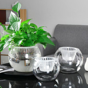 大号水培植物玻璃花瓶，透明水养绿萝花盆，容器插花瓶圆球形鱼缸器皿