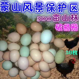 正宗土鸡蛋农家散养新鲜农村自养纯野外竹林柴月子草本笨鸡蛋50枚