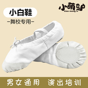 白色舞蹈鞋儿童女童软底练功鞋跳舞鞋成人，男猫爪形体古典芭蕾舞鞋