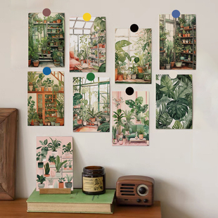 简约ins绿植卡片植物小清新明信片，小众高级文艺房间寝室墙面装饰