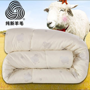 加厚保暖全棉羊毛被冬被床上用品单人双人，被芯被子