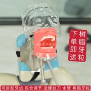 牙科材料口腔备牙模型器械工具，离体牙备牙根管树脂，牙简易仿真头模