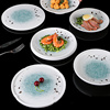 密胺餐具盘子塑料寿司碟餐厅饭店商用菜加厚耐摔仿瓷盘子圆盘平盘