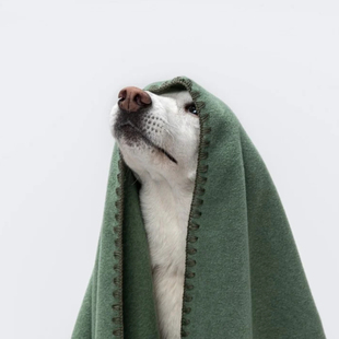 暖暖宠物毯德国进口cloud7宠物毯狗猫用柔软防静电petisan