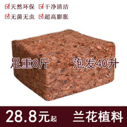 印度进口椰壳砖兰花，专用营养土，粗椰块铁皮石斛植料椰砖4kg