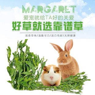 新宠物(新宠物)兔子紫花苜蓿草，荷兰猪粮食豚鼠，龙猫干牧草饲料兔粮毛重1kg