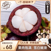香菇来了泰国进口新鲜5A特级山竹当季孕妇水果5斤大果