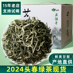 2024头春茶新茶云南绿茶高山，浓香明前特级银丝绿茶叶春尖滇绿茶鲜