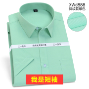 2021夏季短袖衬衫男冰绿色商务，休闲职业工装衬衣，男上班打底工作服
