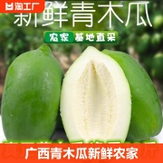 广西青木瓜新鲜农家自种番木瓜产妇下奶木瓜炒煲汤腌酸凉拌生木瓜