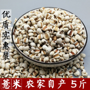 薏米5斤薏米仁 大薏米农家自产薏仁米苡米五谷杂粮粗粮新薏米