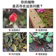 月季花园艺用品营养土玫瑰营养液蔷薇大肥王喷壶花卉植物通用肥料