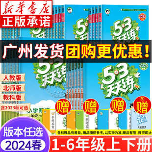 53天天练2024人教版 一二三四五六年级下册上册语文数学英语北师大版外研教科小儿郎5.3五三小学生同步练习试卷测试全套单元测评卷